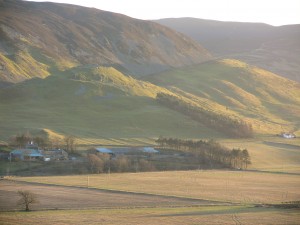 Merlindale valley