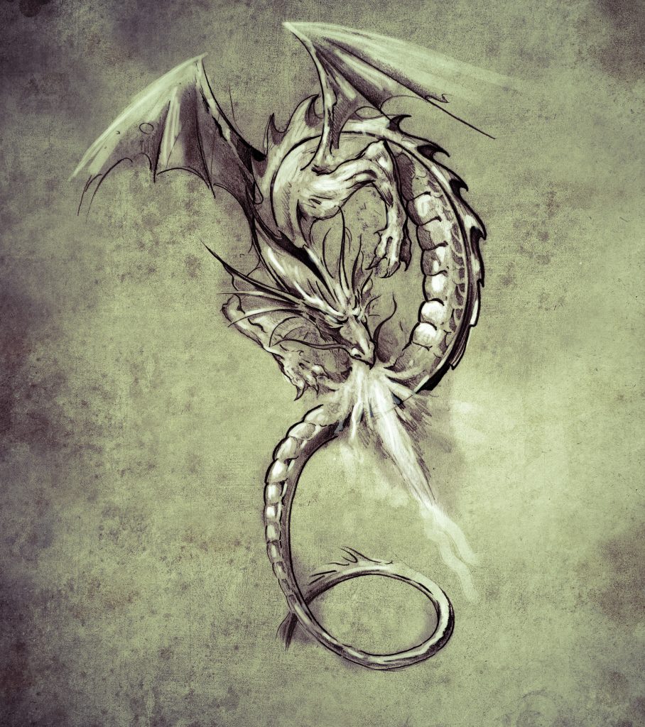 Sketch of tattoo art, Fantasy dragon. Sketch of tattoo art, medieval monster