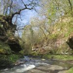 Roslin Glen