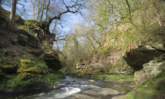 sun disc Roslin Glen