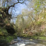 Roslin Glen