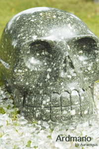 Ardmano crystal skull