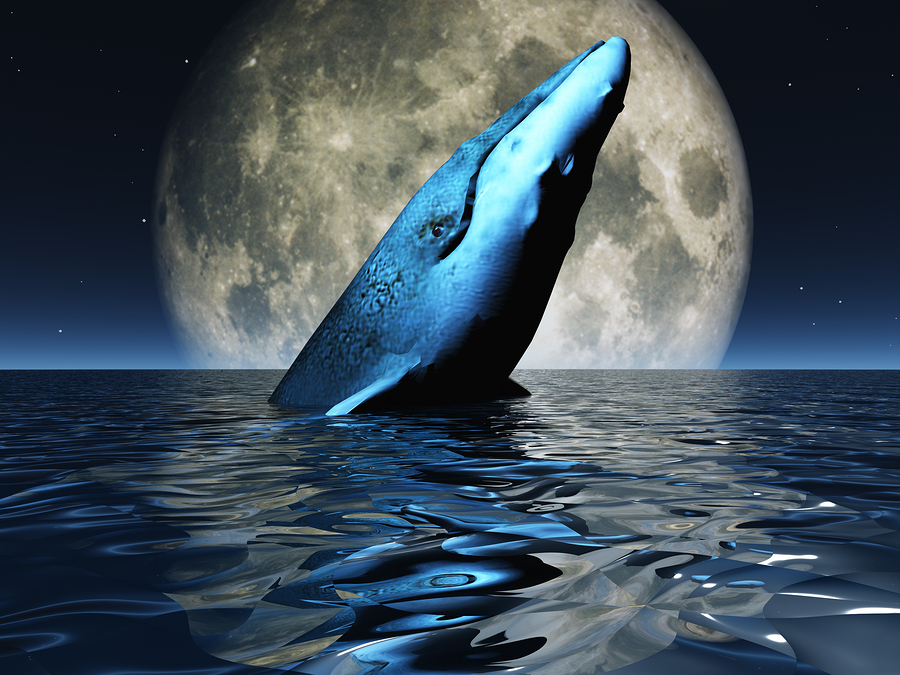 Whale on oceans surface with full moon