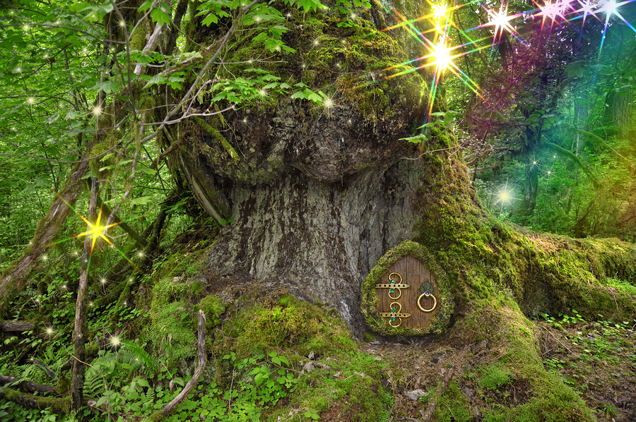 Ancient Tree in forest with fairy lights, door and rainbow