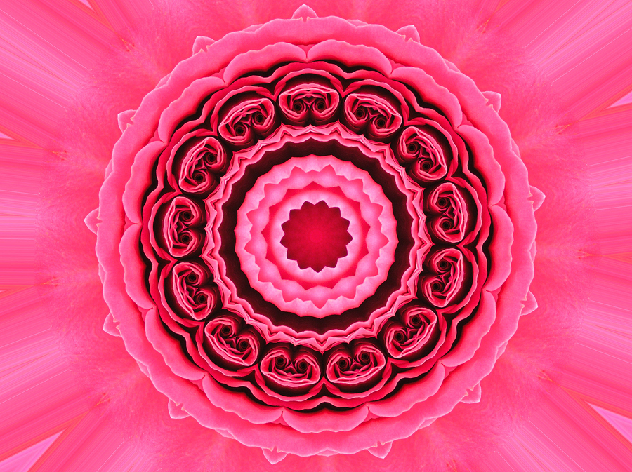 Magenta Rose Mandala