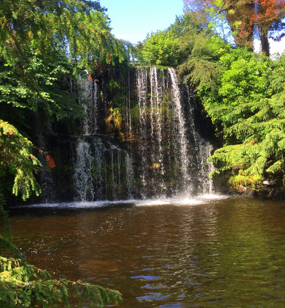 Waterfasll Japanese Water Gardens Stobo