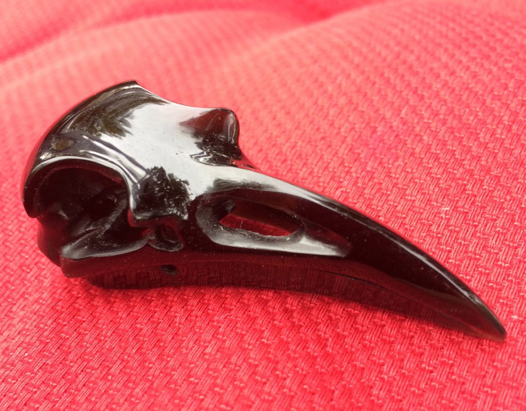 Raven skull