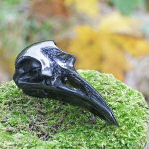 Crystal Raven Skull