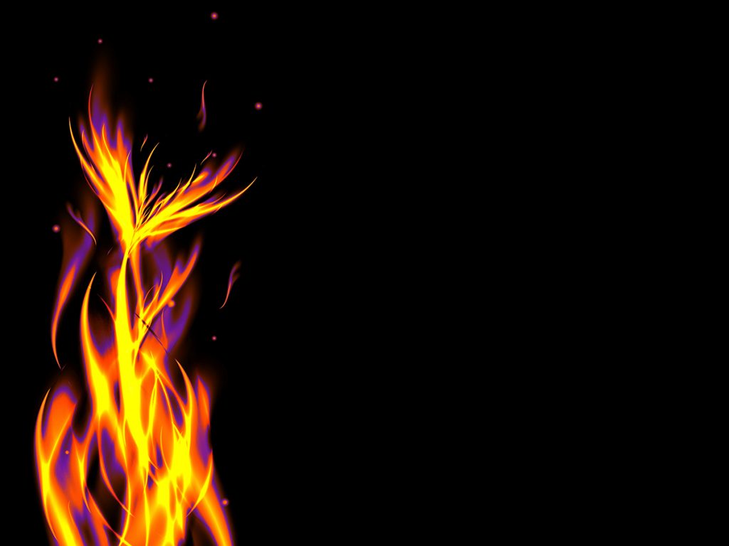 Bright abstract violet Gold flames on black background, vector illustration