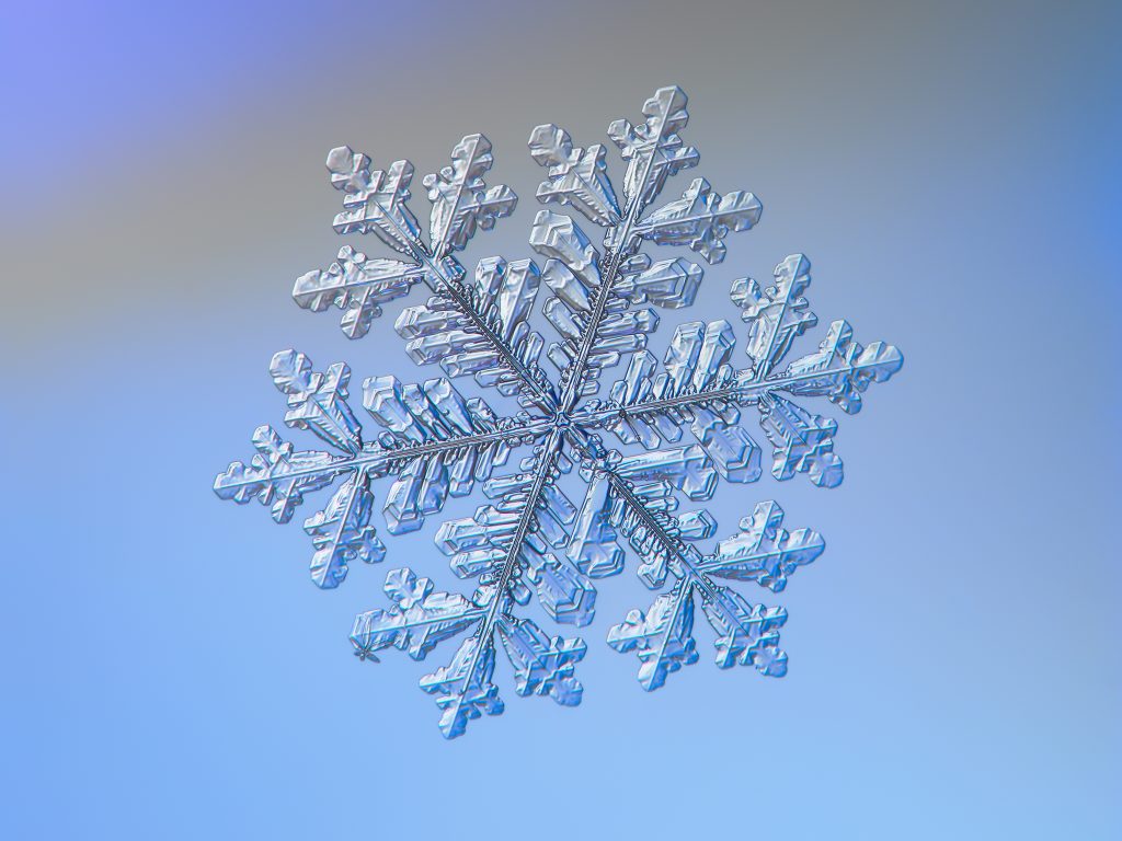 Snowflake glittering on blue background. Macro photo of real snow crystal: large stellar dendrite with fine hexagonal symmetry, complex ornate shape and six long, elegant arms with many side branches. similar to Melchezidek Order symbol