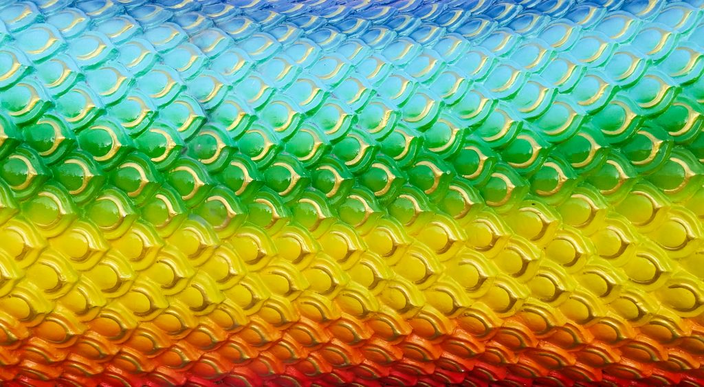 Rainbow Dragon Scales