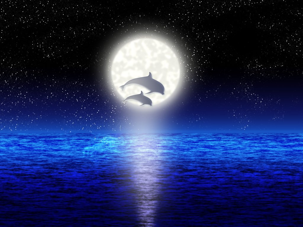 Pair jumping dolphin on background of the full moon