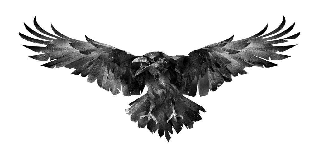 Spirit animal- Raven