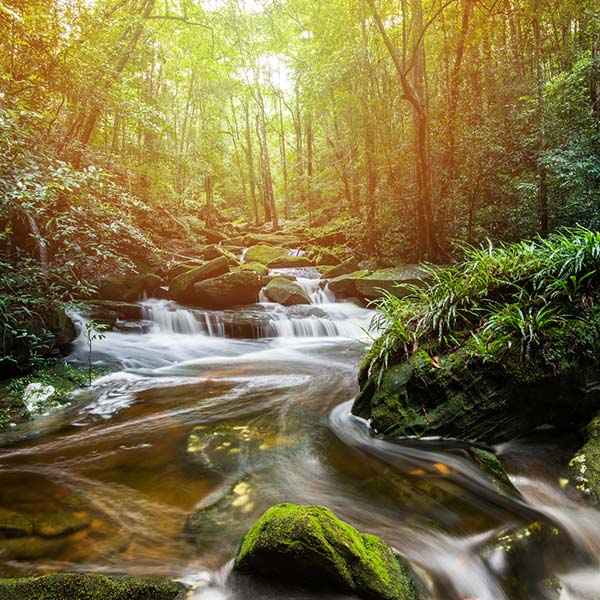 Nature - ~Waterfall