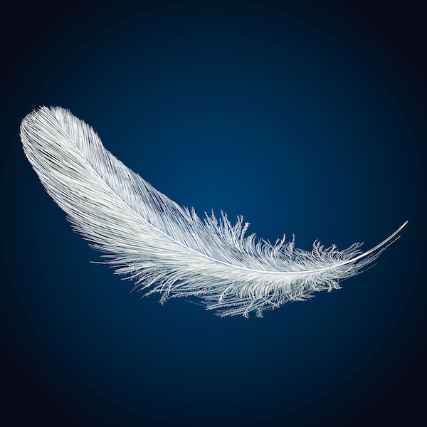 White Feather