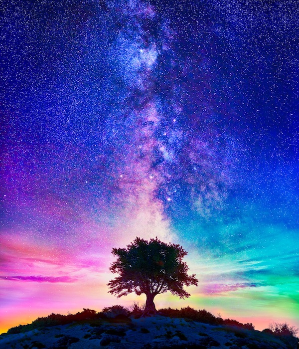 Starry Night Tree With Milky Way