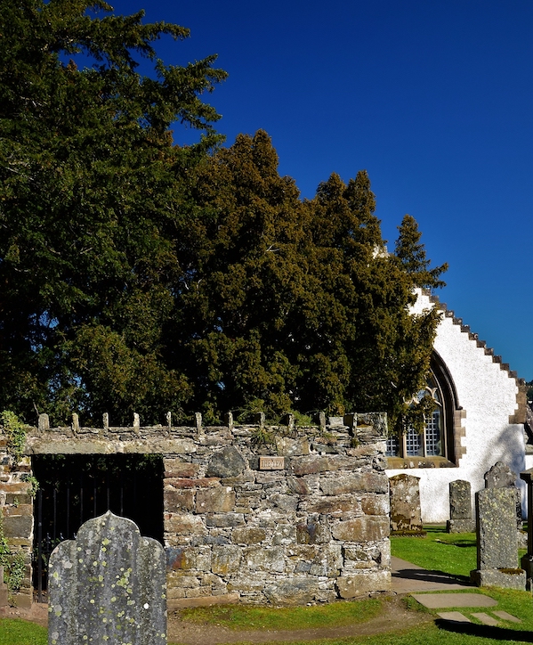 Fortingall Yew Tree