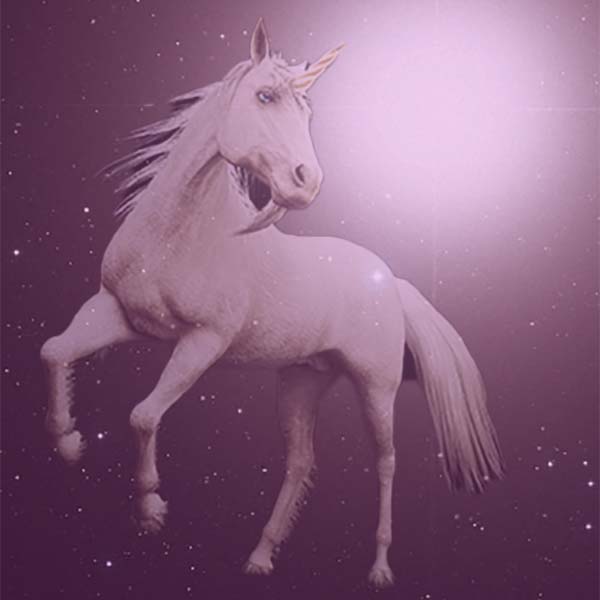 Arcturus Unicorn