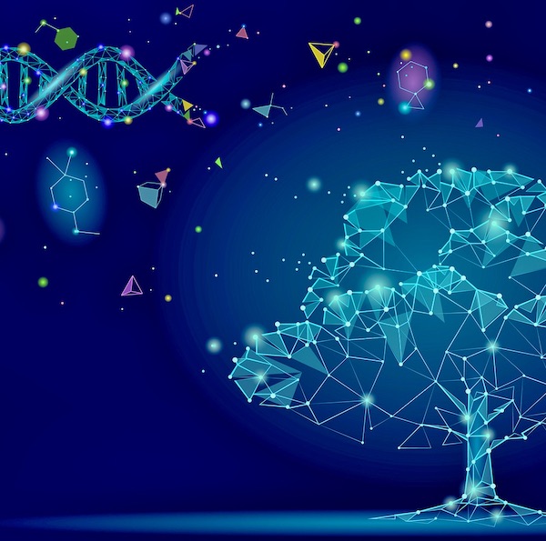 Dna Evolution Abstract Tree and DNA