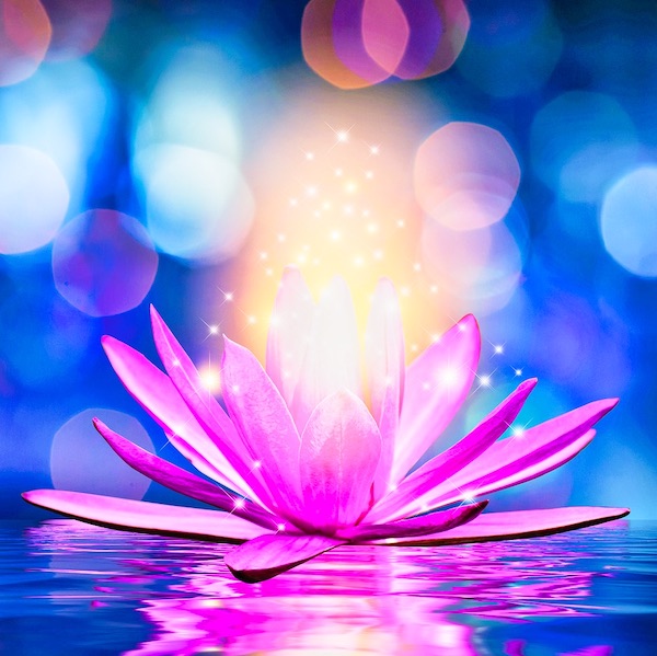 Lotus Pink light purple floating light sparkle