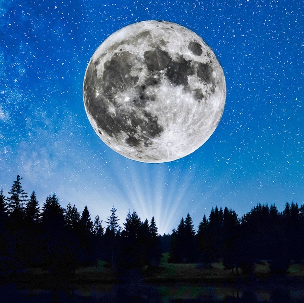 Super Moon Pine Trees Silhouette Milky Way