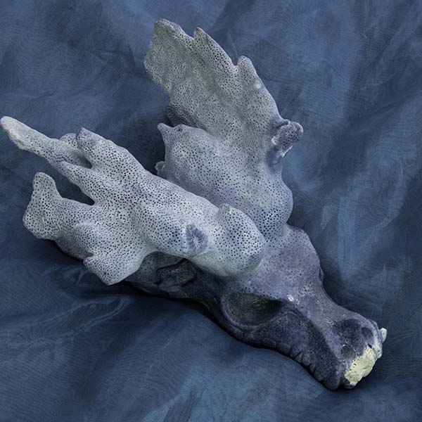 Lemurian Dragon Skull