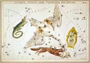 Vega and Lyra Constellation