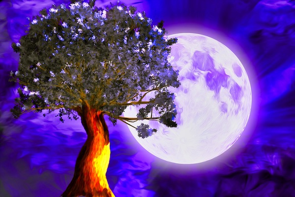 Oak Tree in the Moonlight with a Vivid Glowing Purple Sky