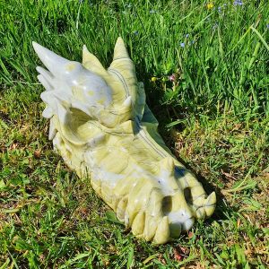Anka Scottish Serpentine Dragon Skull on grass